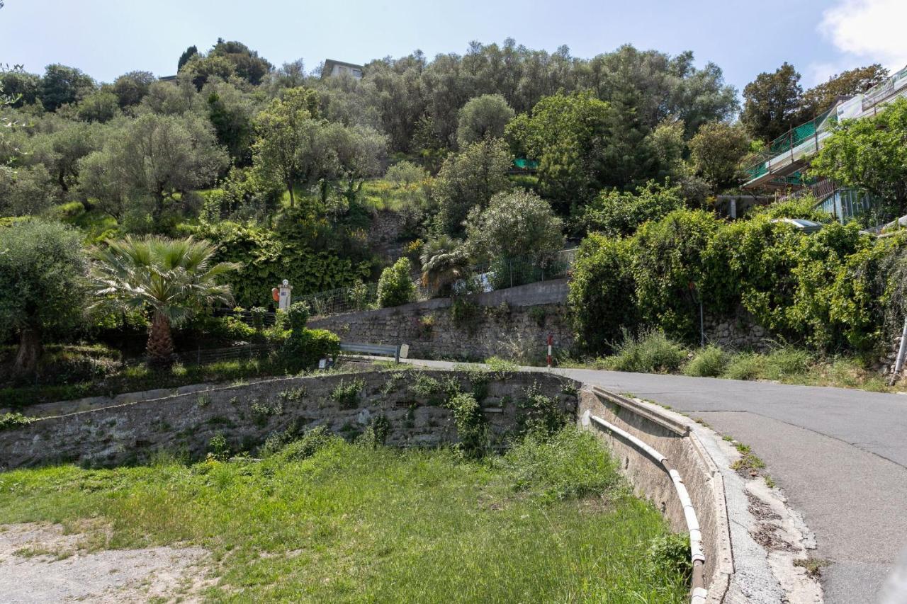 Strada Degli Olandesi - Panoramic Villa By Halldis Camporosso  Exteriér fotografie